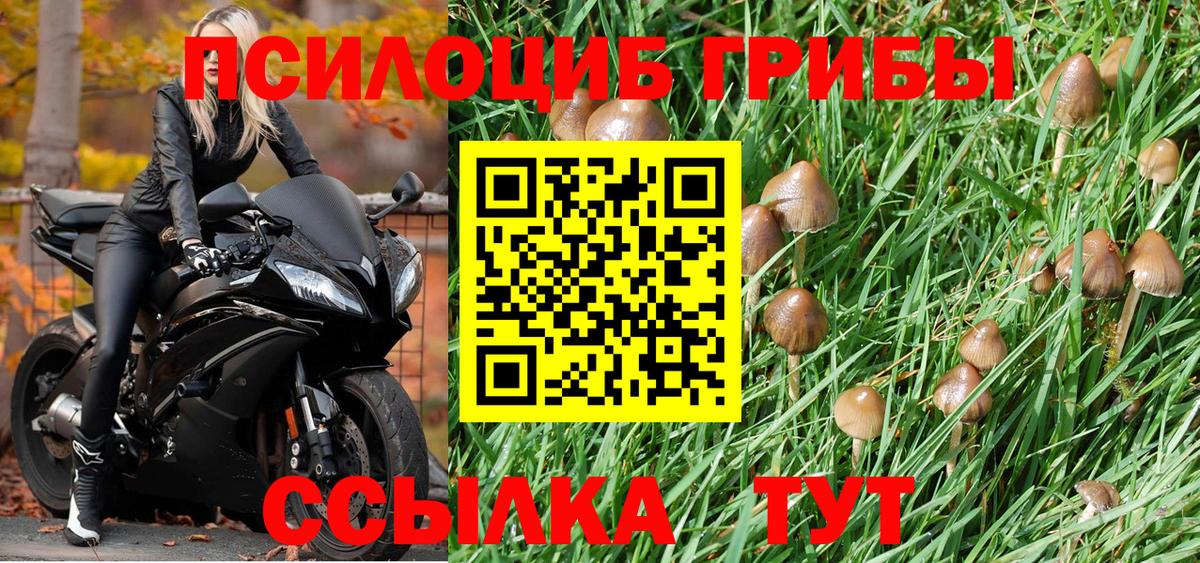 Псилоцибиновые грибы GOLDEN TEACHER Нальчик