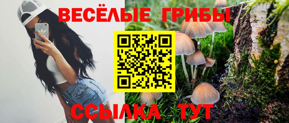 Галлюциногенные грибы Psilocybe  Галлюциногенные грибы Psilocybine cubensis  Нальчик  Вход с VPN 